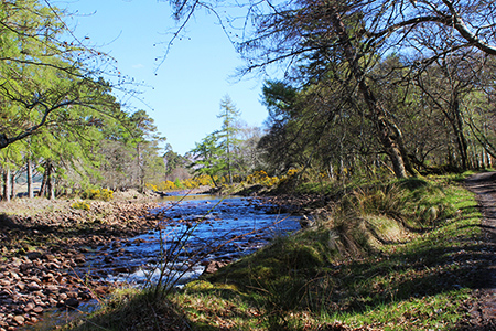 River Walk